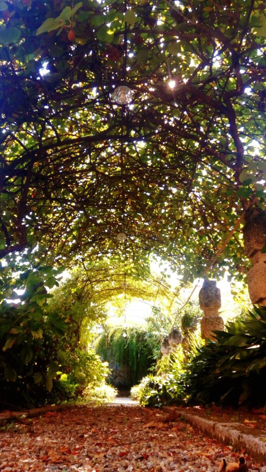Oddi21 B&B Αλμπένγκα Εξωτερικό φωτογραφία