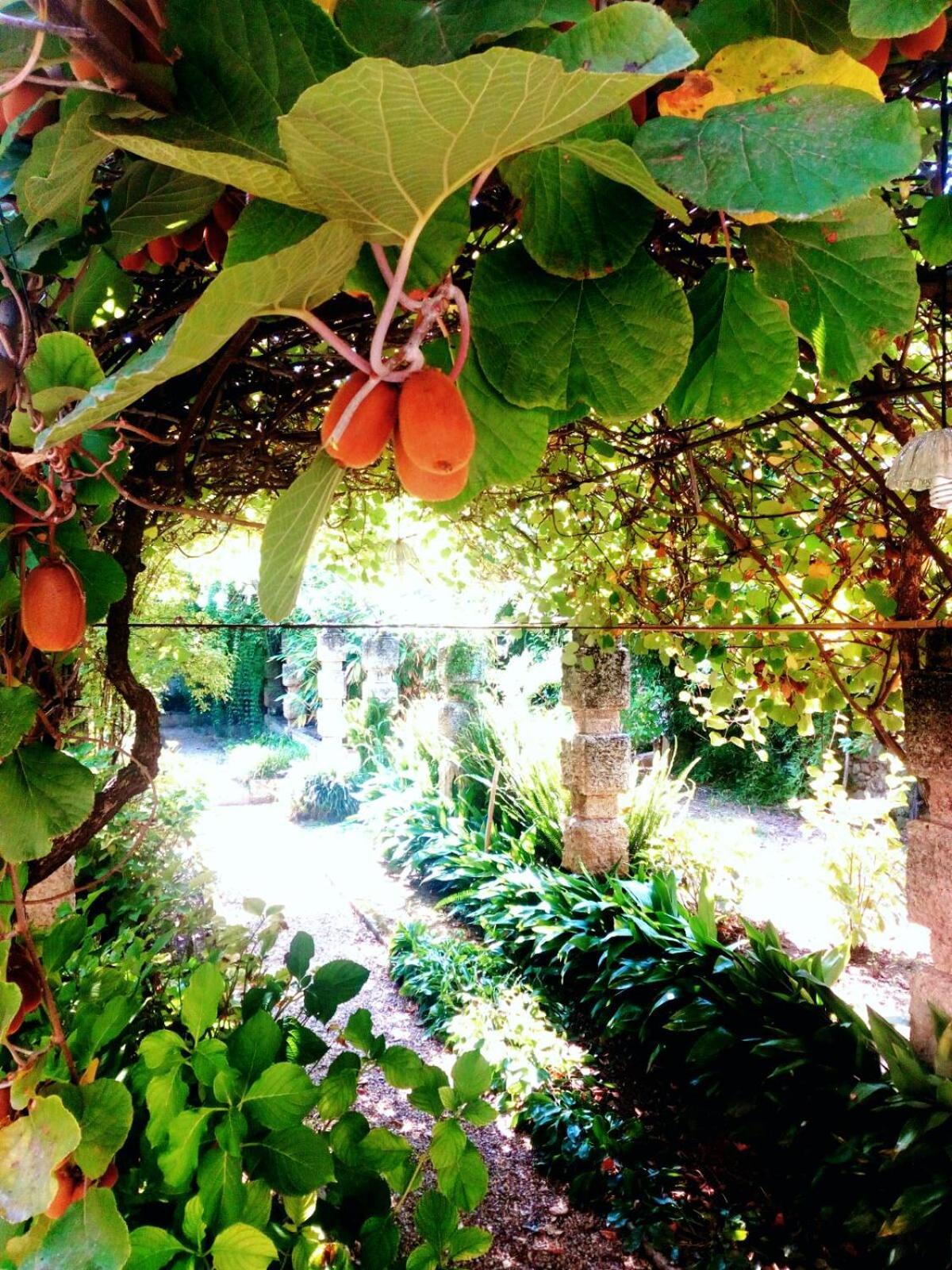 Oddi21 B&B Αλμπένγκα Εξωτερικό φωτογραφία