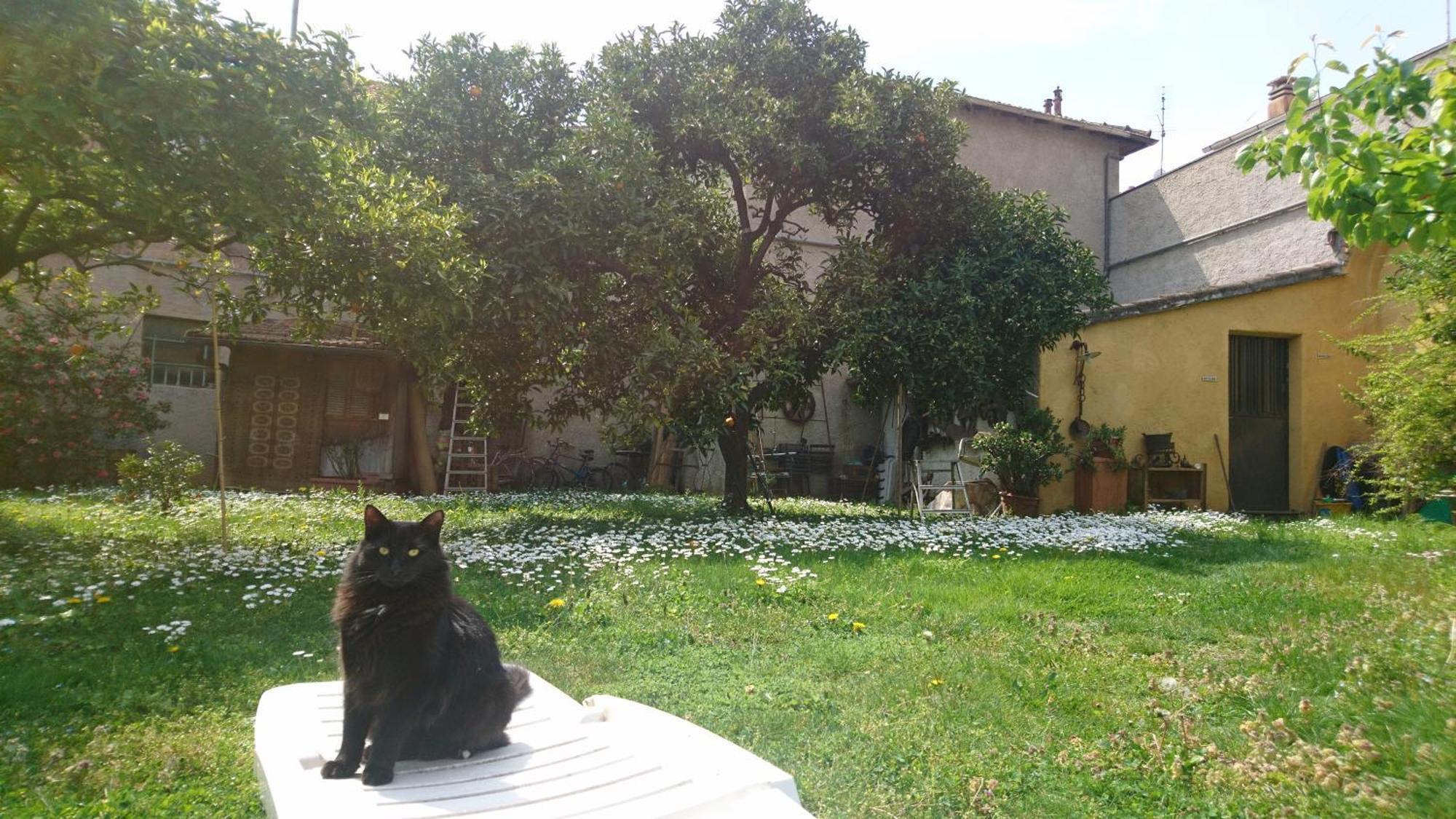 Oddi21 B&B Αλμπένγκα Εξωτερικό φωτογραφία